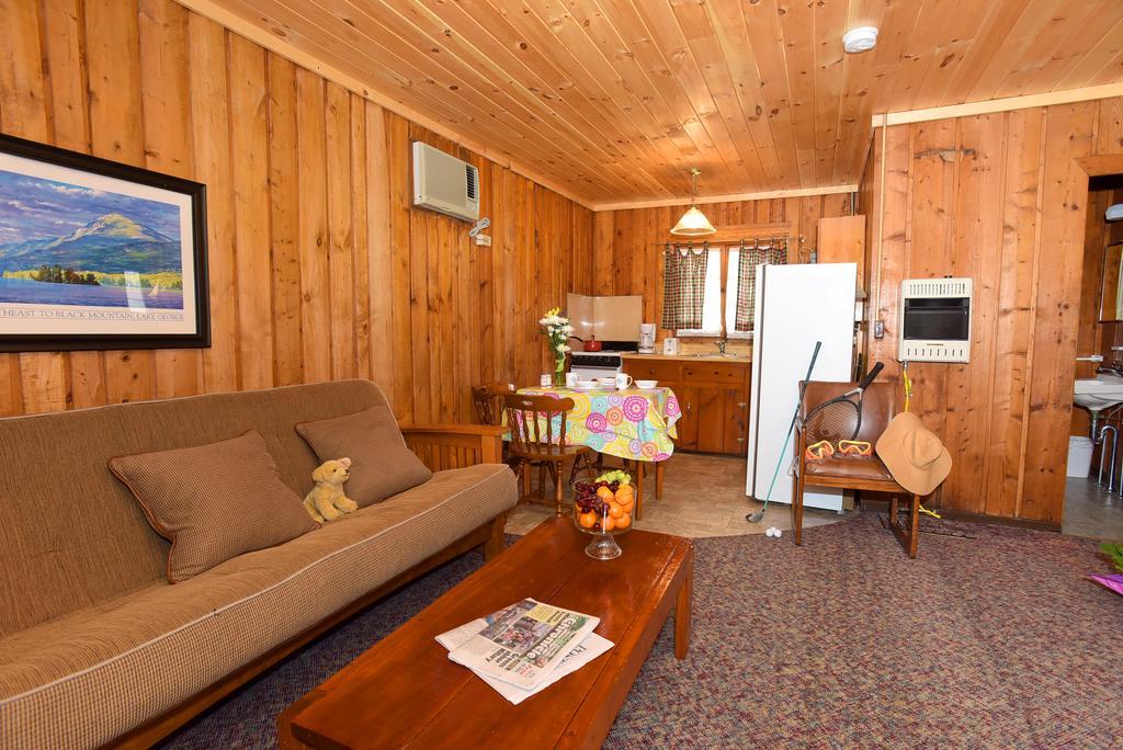 Lincoln Log Colony Lake George