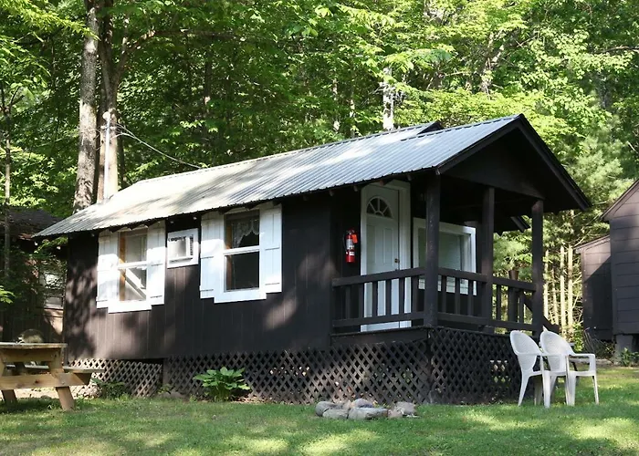 Lake George Bear\'S Den