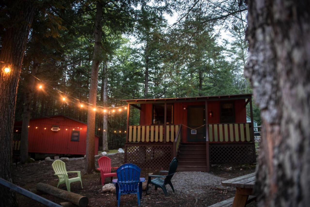 Trekker, Treehouses And Lake George