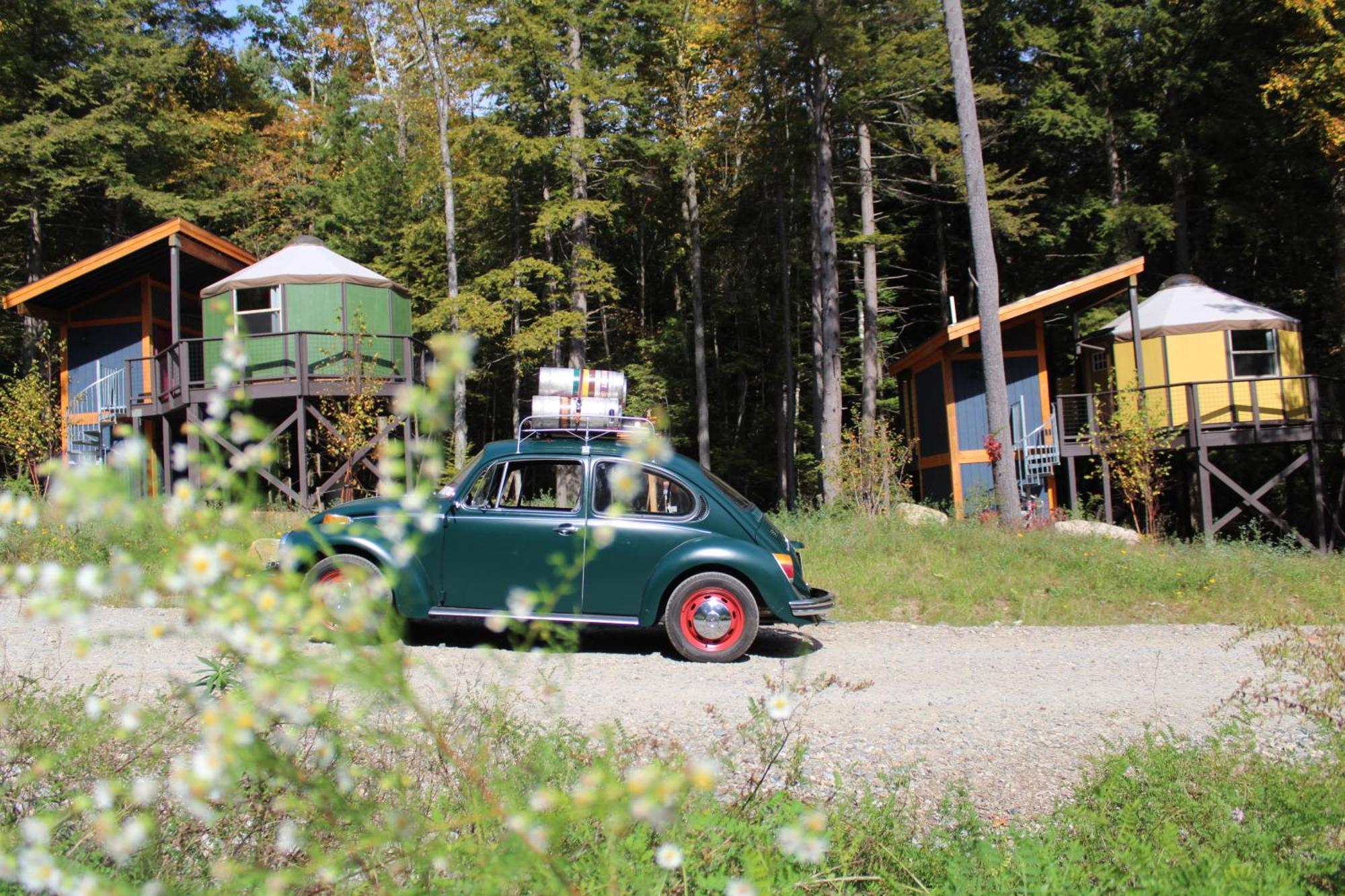 Trekker, Treehouses And Motel