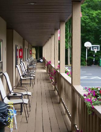 Motel Tall Pines