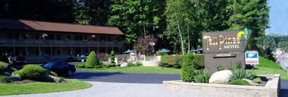 Motel Tall Pines