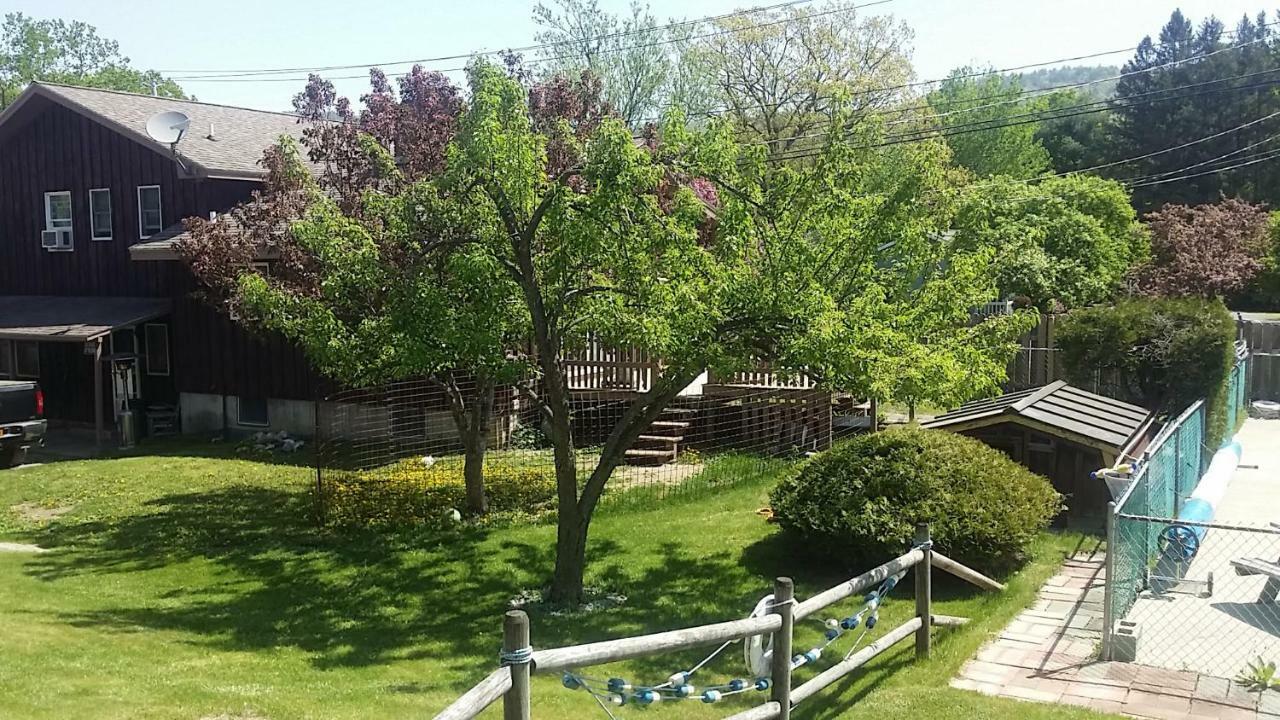 Motel Nassau Lake George