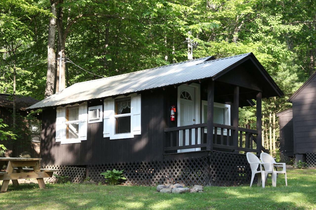 Motel George Bear's Den 2*